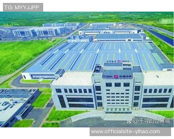 加维在国际舞台上的崛起与未来发展潜力分析